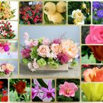Cần dịch vụ kế toán trọn gói Quận 4