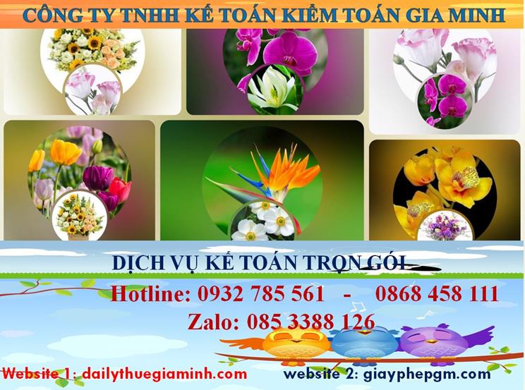 Dịch vụ kế toán trọn gói Quận 5 4 Dịch vụ kế toán trọn gói Quận 5