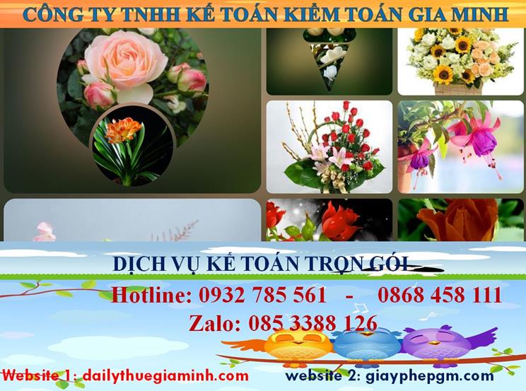 Dịch vụ kế toán trọn gói Quận 6 4 Dịch vụ kế toán trọn gói Quận 6