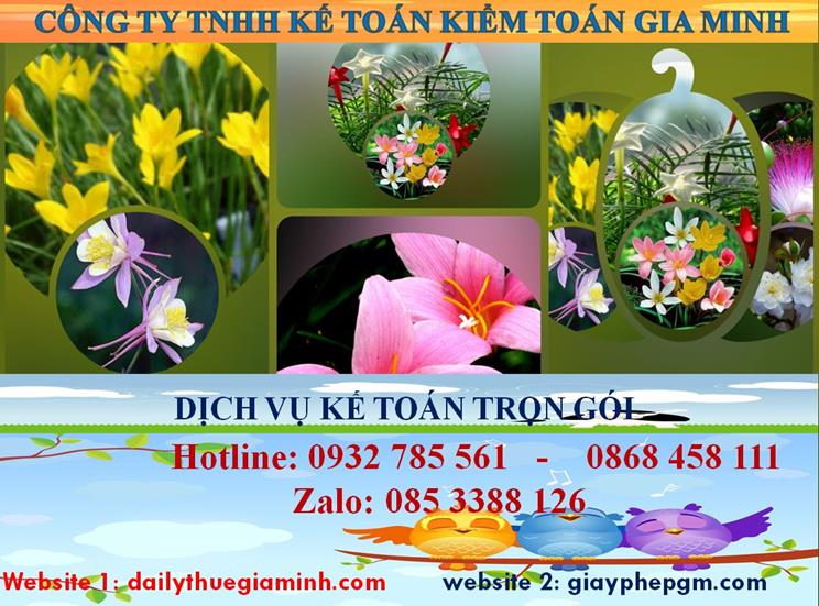 Dịch vụ kế toán trọn gói Quận 7 4 Dịch vụ kế toán trọn gói Quận 7
