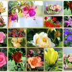 Dịch vụ kế toán trọn gói Quận 9 6 Cần dịch vụ kế toán trọn gói Quận 9