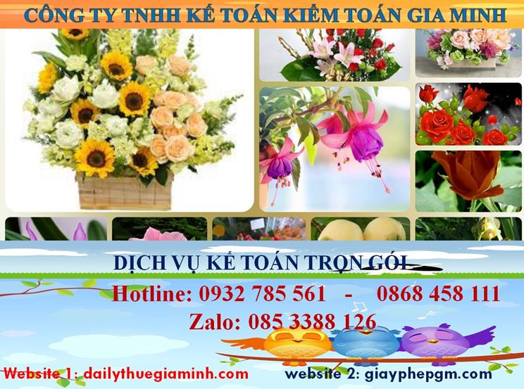 Dịch vụ kế toán trọn gói Quận 9 4 Dịch vụ kế toán trọn gói Quận 9
