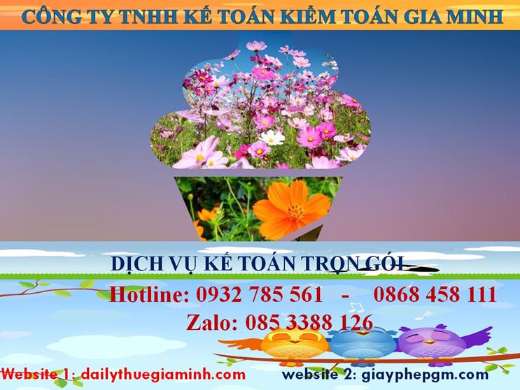 Dịch vụ kế toán trọn gói Quận Bình Thạnh 4 Dịch vụ kế toán trọn gói Quận Bình Thạnh