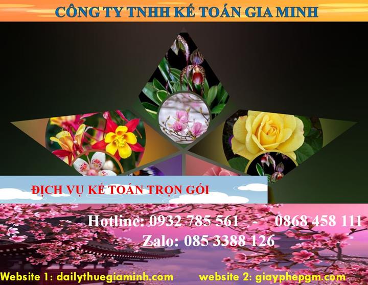 Dịch vụ kế toán trọn gói Quảng Ninh 4 Dịch vụ kế toán trọn gói Quảng Ninh