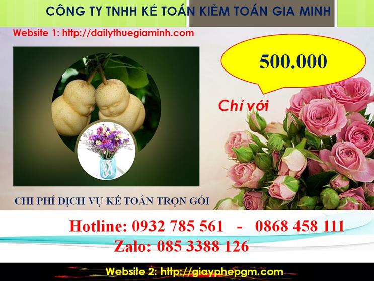 Dịch vụ kế toán trọn gói Quảng Ninh 5 Chi phí kế toán trọn gói tại Quảng Ninh
