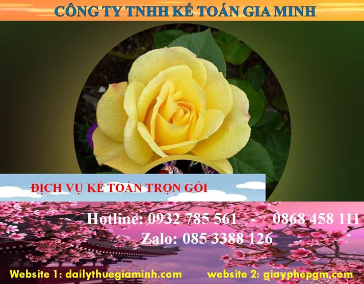 Dịch vụ kế toán trọn gói Sơn La 4 Dịch vụ kế toán trọn gói Sơn La