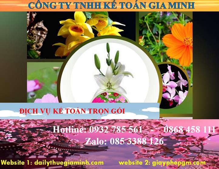 Dịch vụ kế toán trọn gói Thành phố Hà Nội 4 Dịch vụ kế toán trọn gói Thành phố Hà Nội
