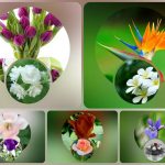 Dịch vụ kế toán trọn gói Thị xã Thuận An 6 Cần dịch vụ kế toán trọn gói Thị xã Thuận An