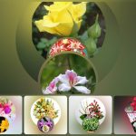 Dịch vụ kế toán trọn gói TPHCM 6 Cần dịch vụ kế toán trọn gói TPHCM