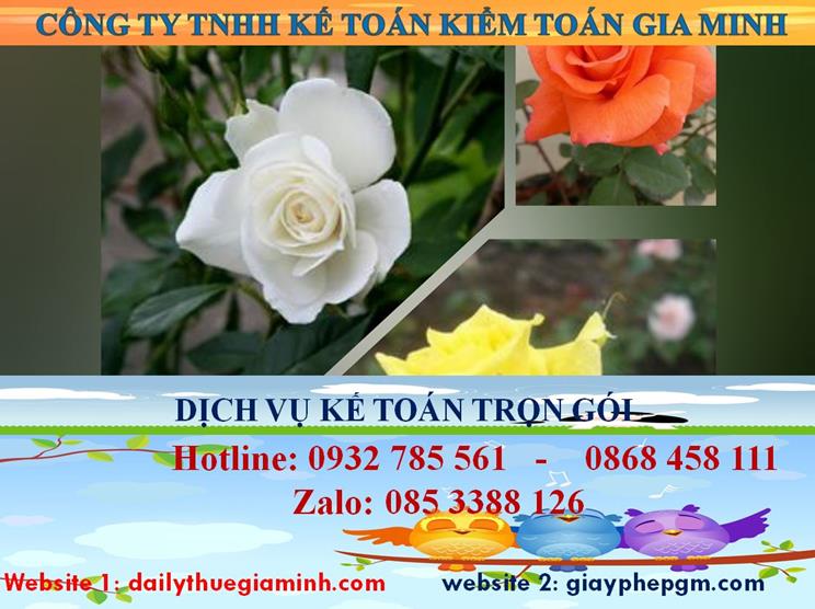 Dịch vụ kế toán trọn gói TPHCM 4 Dịch vụ kế toán trọn gói TPHCM