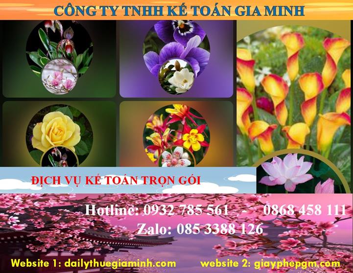Dịch vụ kế toán trọn gói Tuyên Quang 4 Dịch vụ kế toán trọn gói Tuyên Quang