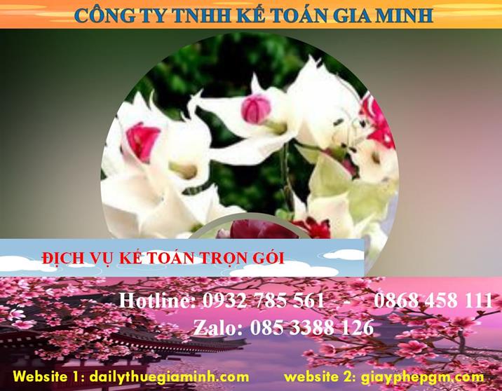 Dịch vụ kế toán trọn gói Vũng Tàu 4 Dịch vụ kế toán trọn gói Vũng Tàu