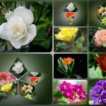 Dịch vụ kế toán trọn gói Vũng Tàu 6 Cần dịch vụ kế toán trọn gói Vũng Tàu
