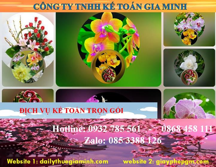 Dịch vụ kế toán trọn gói Yên Bái 4 Dịch vụ kế toán trọn gói Yên Bái