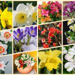 Mở công ty trọn gói tại Điện Biên 6 Dịch vụ thành lập công ty trọn gói tại Điện Biên
