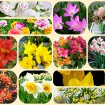 Mở công ty trọn gói tại Đồng Nai 6 Dịch vụ thành lập công ty trọn gói tại Đồng Nai
