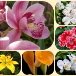 Mở công ty trọn gói tại Hà Nội 6 Dịch vụ thành lập công ty trọn gói tại Hà Nội