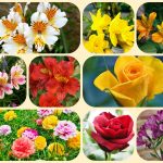 Mở công ty trọn gói tại Huyện Đông Anh 6 Dịch vụ thành lập công ty trọn gói tại Huyện Đông Anh