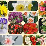 Mở công ty trọn gói tại Huyện Hoài Đức 6 Dịch vụ thành lập công ty trọn gói tại Huyện Hoài Đức