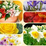 Mở công ty trọn gói tại Huyện Thanh Oai 6 Dịch vụ thành lập công ty trọn gói tại Huyện Thanh Oai