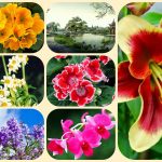 Dịch vụ thành lập công ty trọn gói tại Kon Tum