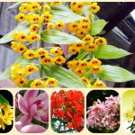Mở công ty trọn gói tại Lâm Đồng 6 Dịch vụ thành lập công ty trọn gói tại Lâm Đồng