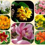 Mở công ty trọn gói tại Lạng Sơn 6 Dịch vụ thành lập công ty trọn gói tại Lạng Sơn