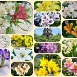 Mở công ty trọn gói tại Quận 11 6 Dịch vụ thành lập công ty trọn gói tại Quận 11
