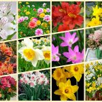 Dịch vụ thành lập công ty trọn gói tại Quận Bình Thạnh