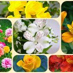 Mở công ty trọn gói tại Quận Hoàng Mai 6 Dịch vụ thành lập công ty trọn gói tại Quận Hoàng Mai