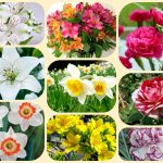 Mở công ty trọn gói tại Quận Long Biên 6 Dịch vụ thành lập công ty trọn gói tại Quận Long Biên