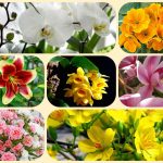 Mở công ty trọn gói tại Thái Bình 6 Dịch vụ thành lập công ty trọn gói tại Thái Bình