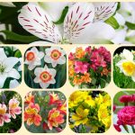 Mở công ty trọn gói tại Thị xã Dĩ An 6 Dịch vụ thành lập công ty trọn gói tại Thị xã Dĩ An