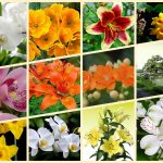 Mở công ty trọn gói tại Thừa Thiên Huế 6 Dịch vụ thành lập công ty trọn gói tại Thừa Thiên Huế