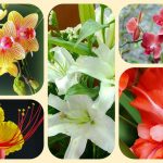 Thành lập doanh nghiệp tư nhân tại TPHCM 14 Muốn thành lập doanh nghiệp tư nhân tại TPHCM