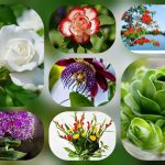 Dịch vụ thành lập văn phòng đại diện tại Quận 3 6 Muốn thành lập văn phòng đại diện tại Quận 3