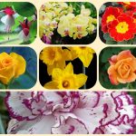 Dịch vụ thành lập văn phòng đại diện tại Quận 7 6 Muốn thành lập văn phòng đại diện tại Quận 7
