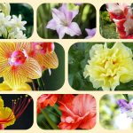 Xin giấy phép mở nhà thuốc tại huyện Bàu Bàng 6 Muốn mở quầy thuốc tại huyện Bàu Bàng