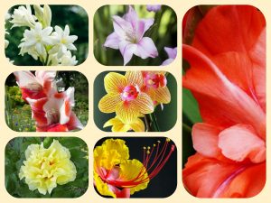 Xin giấy phép mở nhà thuốc tại huyện Dầu Tiếng 6 Muốn mở quầy thuốc tại huyện Dầu Tiếng