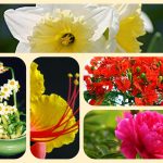 Xin giấy phép mở nhà thuốc tại huyện Nhà Bè 6 Muốn mở quầy thuốc tại huyện Nhà Bè