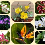 Xin giấy phép mở nhà thuốc tại Quận Bình Thạnh 6 Muốn xin giấy phép mở nhà thuốc tại Quận Bình Thạnh