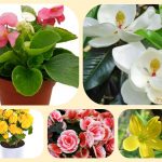 Muốn mở quầy thuốc tại thị xã Dĩ An