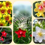 Xin giấy phép mở nhà thuốc tại thành phố Thủ Dầu Một 6 Muốn mở quầy thuốc tại thành phố Thủ Dầu Một