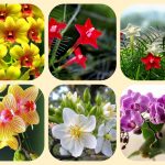 Xin giấy phép mở nhà thuốc tại thị xã Bến Cát 6 Muốn mở quầy thuốc tại thị xã Bến Cát