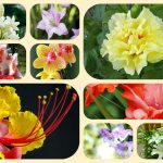 Xin giấy phép mở nhà thuốc tại thị xã Tân Uyên 6 Muốn mở quầy thuốc tại thị xã Tân Uyên