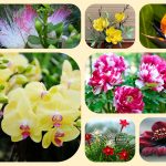Xin giấy phép mở nhà thuốc tại thị xã Thuận An 6 Muốn mở quầy thuốc tại thị xã Thuận An