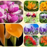 Thành lập công ty cổ phần tại Bắc Giang 6 Muốn thành lập công ty cổ phần Bắc Giang