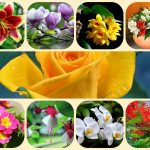 Thành lập công ty cổ phần tại Bến Tre 6 Muốn thành lập công ty cổ phần Bến Tre