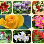 Thành lập công ty cổ phần tại Bình Định 6 Muốn thành lập công ty cổ phần Bình Định