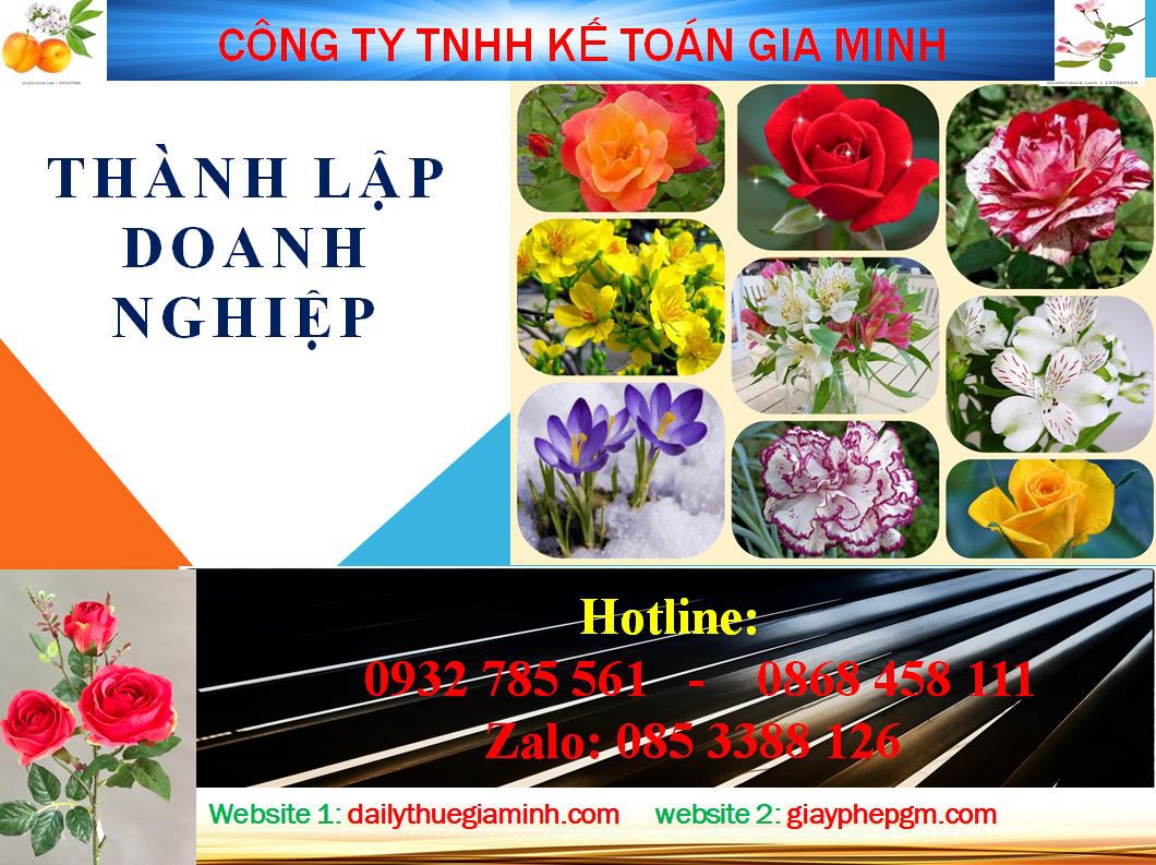 Thành lập công ty cổ phần tại Bình Định 4 Thủ tục thành lập công ty cổ phần Bình Định